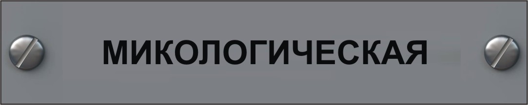 экспертиза плесени и грибка в мурманске